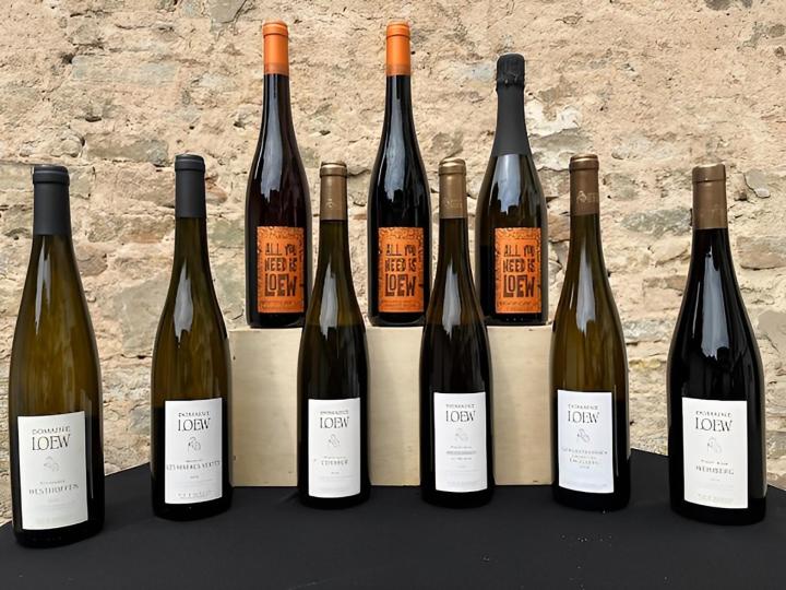 Vente de vins Haguenau